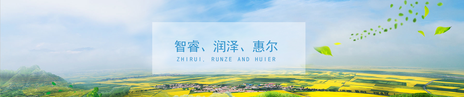&#30343;&#20896;